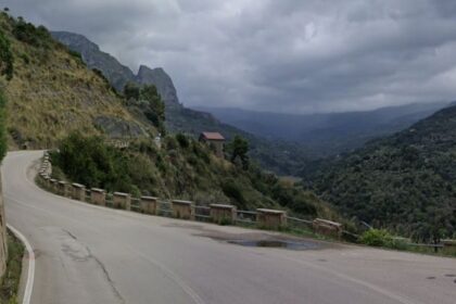 Militello Rosmarino